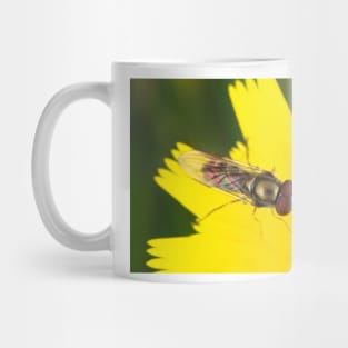 Hoverfly on dandelion Mug